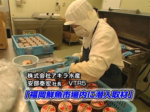 福岡鮮魚市場内に潜入取材