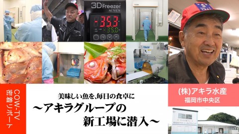 美味しい魚を、毎日の食卓に〜アキラグループの新工場に潜入〜